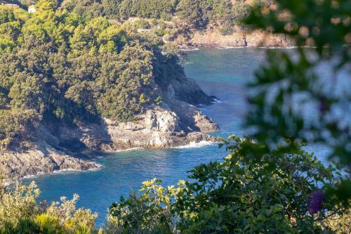 Apartamento Bilocale Gabbiano 2