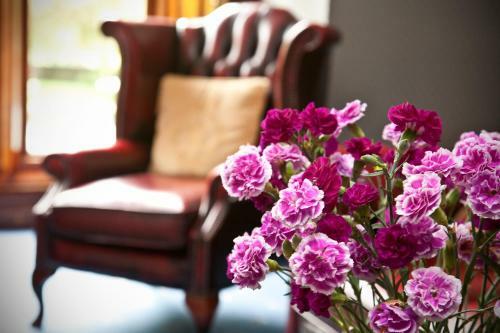 Bed & Breakfast Parc-le-breos House