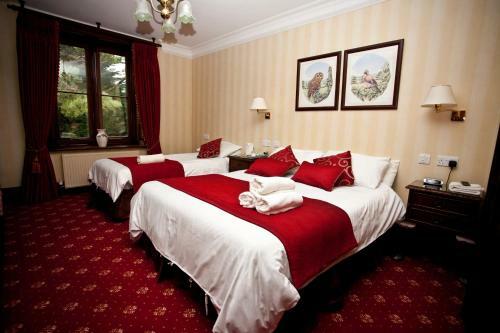 Bed & Breakfast Parc-le-breos House