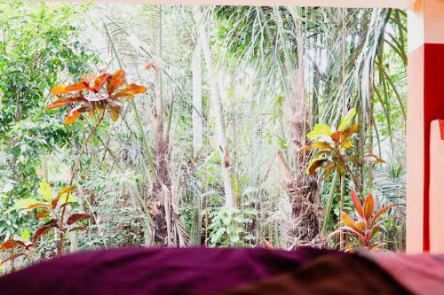 Hotel Shanti Toya Ashram