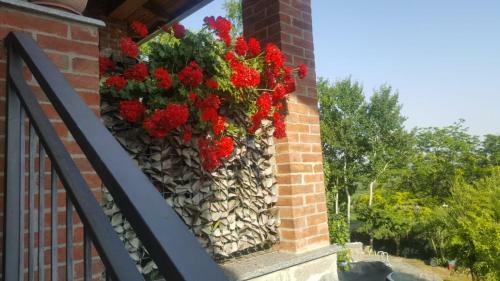 Agroturismo B&B La Corte Dei Samidagi