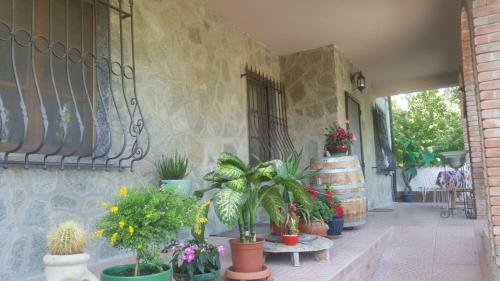 Agroturismo B&B La Corte Dei Samidagi