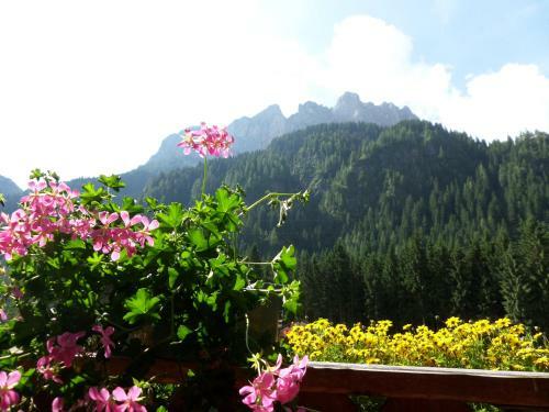 Hostal Affittacamere Pizzeria Marmolada