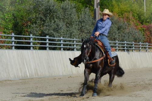 Agroturismo Pietra Cavalla - Ranch & Resort