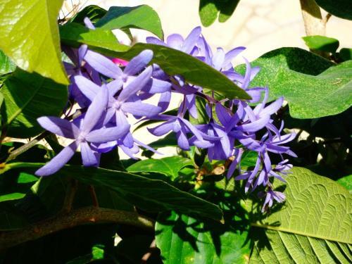 Hotel Kaskazi Beach Resort