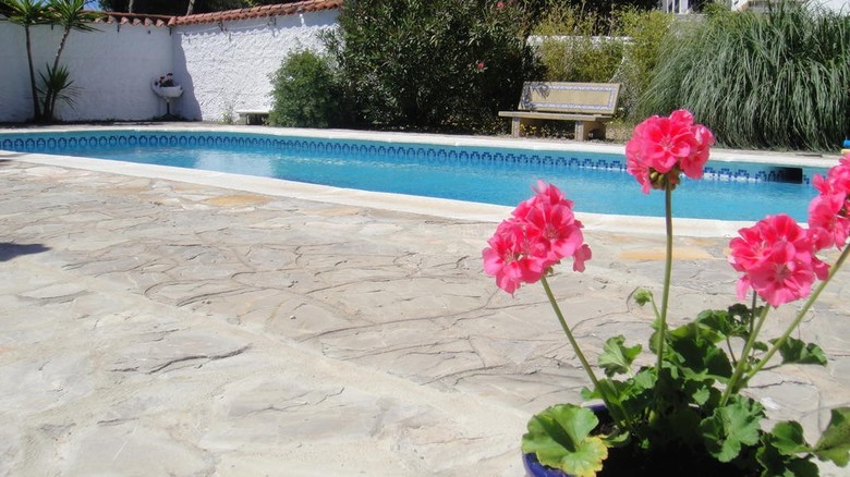 Bed & Breakfast Casa La Felicidad
