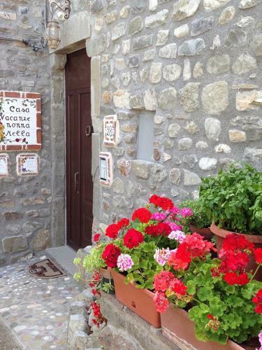 Apartamento Mini Appartamenti Nonna Nella