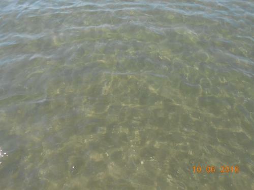 Beachfront Villa Veronica Directl Y From Owne R