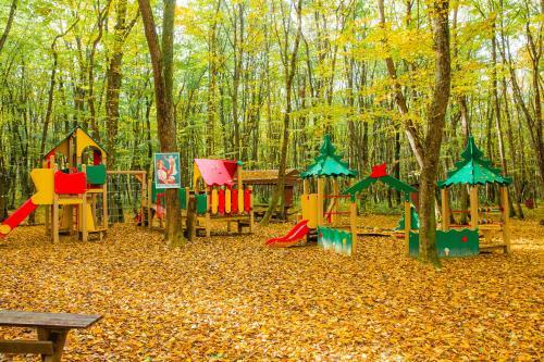 ???? ?????? ?????? ?????