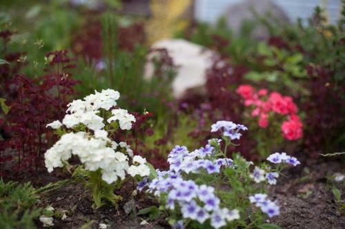 Club Hotel Gardarika