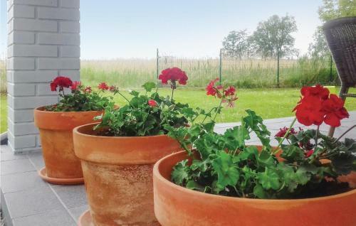 Holiday Home Nowe Warpno Szczecinska