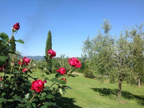 Apartamento Terre Di San Gorgone