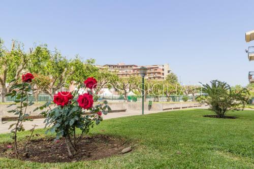 Apartamento B-52 Les Roches Noires