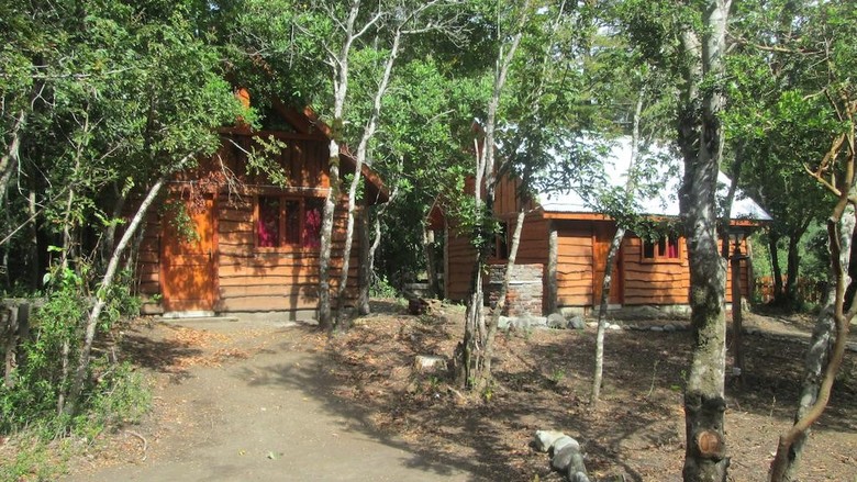 Bosque De Pucon