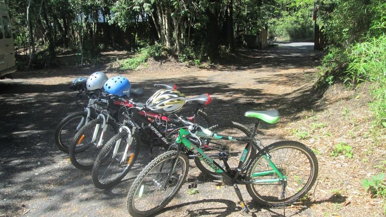 Bosque De Pucon