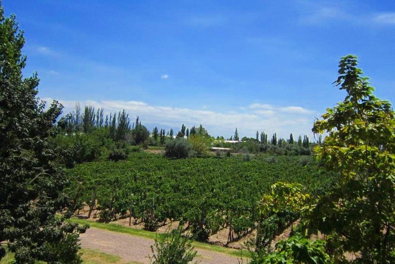 Hostal Petit Verdot
