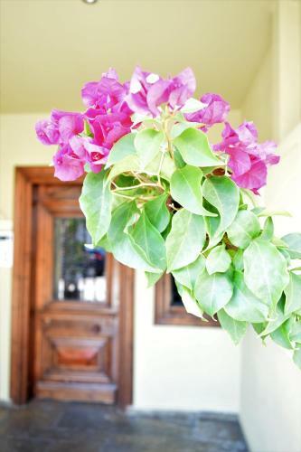 Apartamento Anastasiadis House