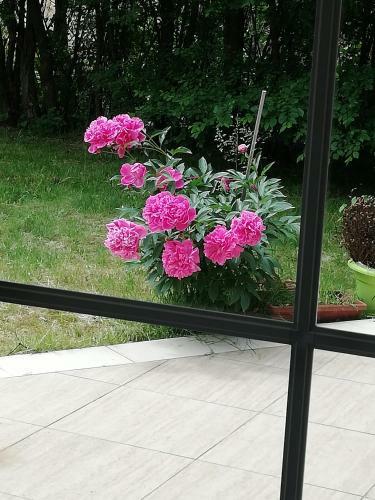 Hostal Guest House Edina Visoko
