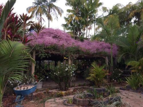 Hostal Hotel Pousada Vov� Zinho