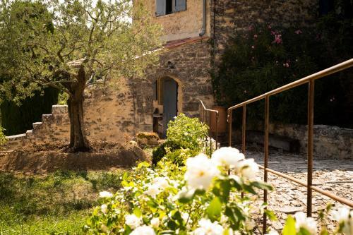 Saint-michel-lobservatoire Chateau Sleeps 13 Pool