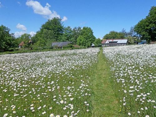Stunning Cottage Set In Quiet Farmyard In Biddenden Countryside