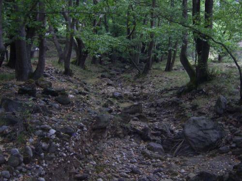 Hostal Guesthouse Kastania