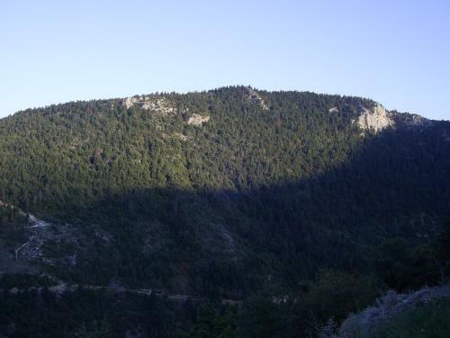 Hostal Guesthouse Kastania