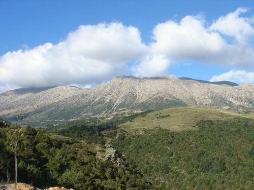 Hostal Guesthouse Kastania
