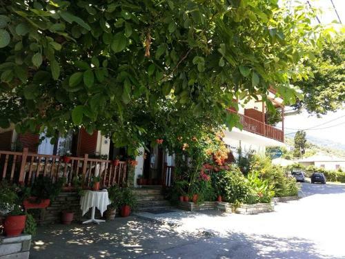 Hotel Katerina