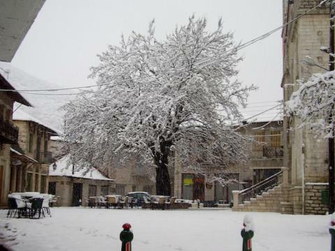 Hostal Alonaki Guesthouse