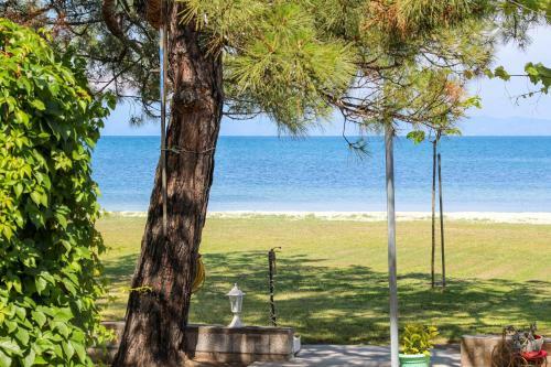 Apartamento Studios Avra