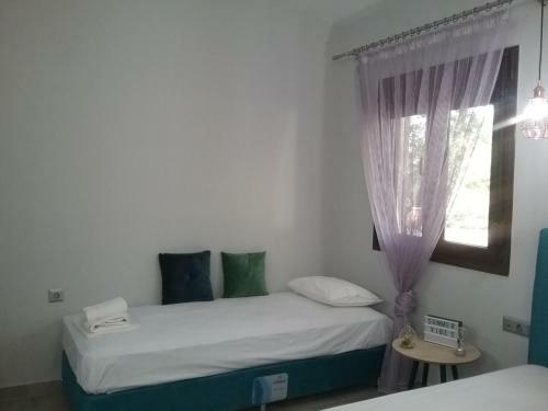 Apartamento Perseus Studios