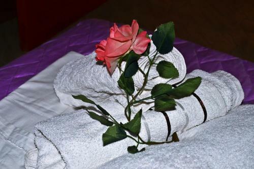 Apartamento Amversa's Rooms