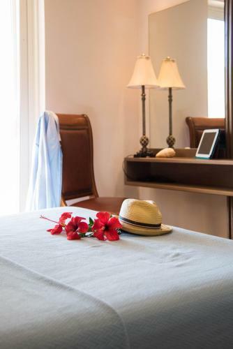 Hotel Zoe Seaside Resort