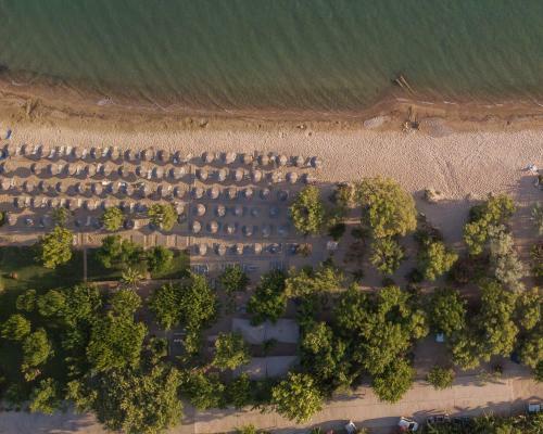 Hotel Zoe Seaside Resort