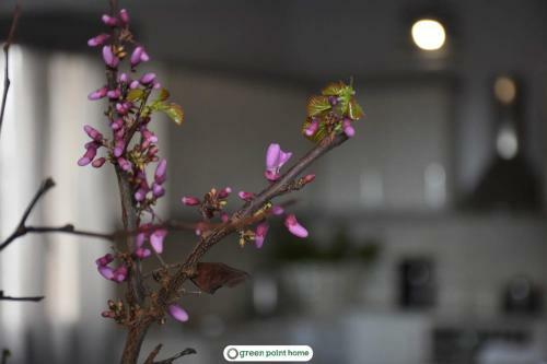 Apartamento Green Point Home