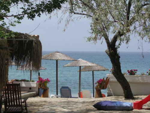Aparthotel Lysistrata Bungalows