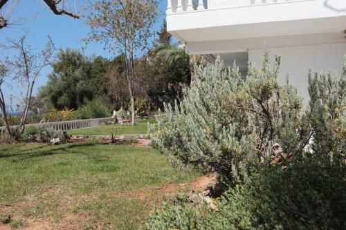 Apollon Apartments