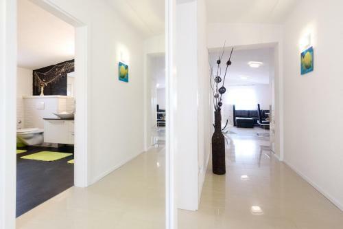 Studio Apartment Maslina