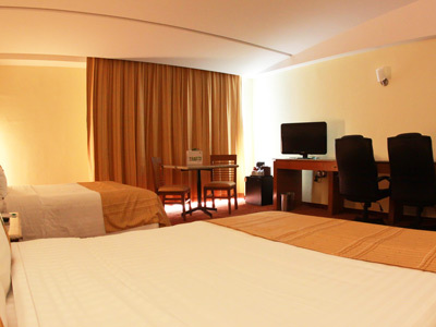 Hotel Holiday Inn Puebla Finsa