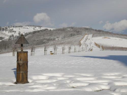 Agroturismo Rooms Bolfan Vinski Vrh