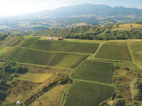 Agroturismo Rooms Bolfan Vinski Vrh