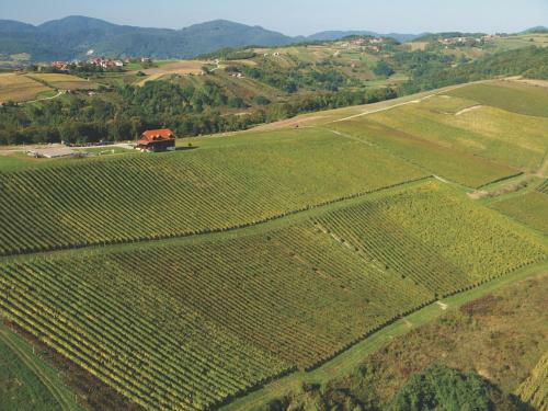 Agroturismo Rooms Bolfan Vinski Vrh