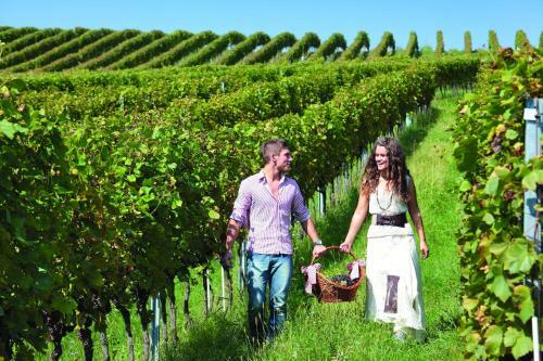 Agroturismo Rooms Bolfan Vinski Vrh