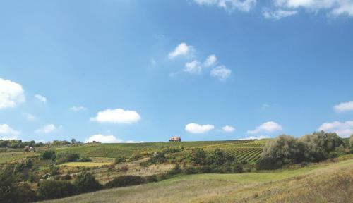 Agroturismo Rooms Bolfan Vinski Vrh