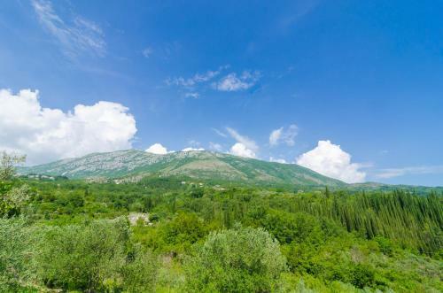 Villa Dalmatian Gem