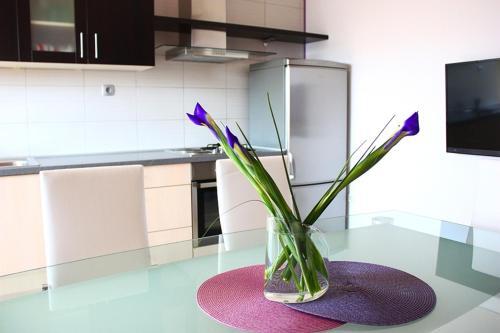 Apartamento House Grebastica (886)