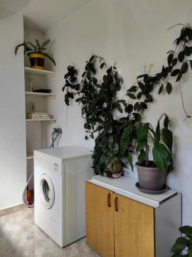 Apartment Andela - Affordable