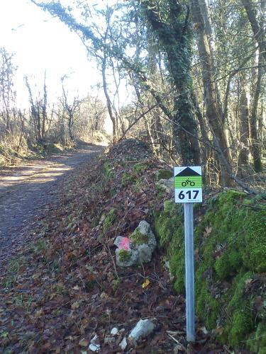 Istria Camp - Istria Holiday For 2