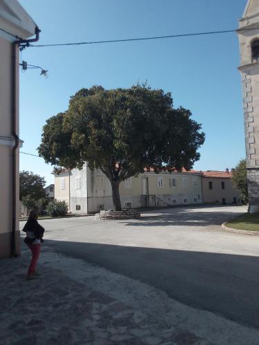 Istria Camp - Istria Holiday For 2